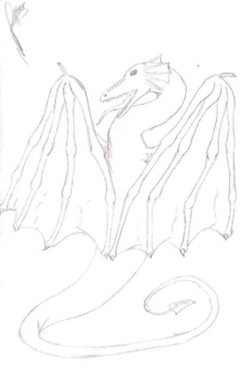 dragon.jpg