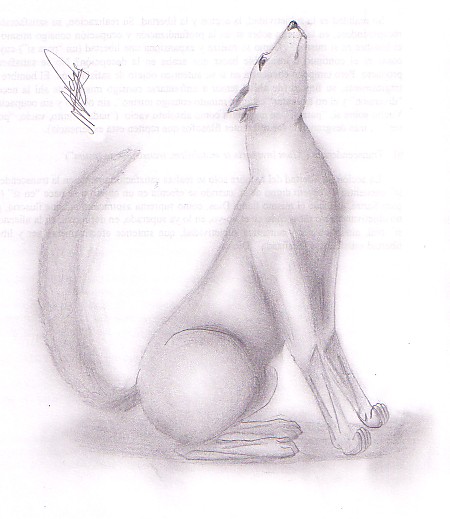 wolf.jpg